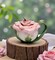 Ceramic Victorian Pink Rose Teapot with Butterfly, Gift for Her, Gift for Mom, Tea Party Décor, Café Décor, Farmhouse Décor, Cottagecore